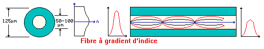 fibre à gradient d'indice